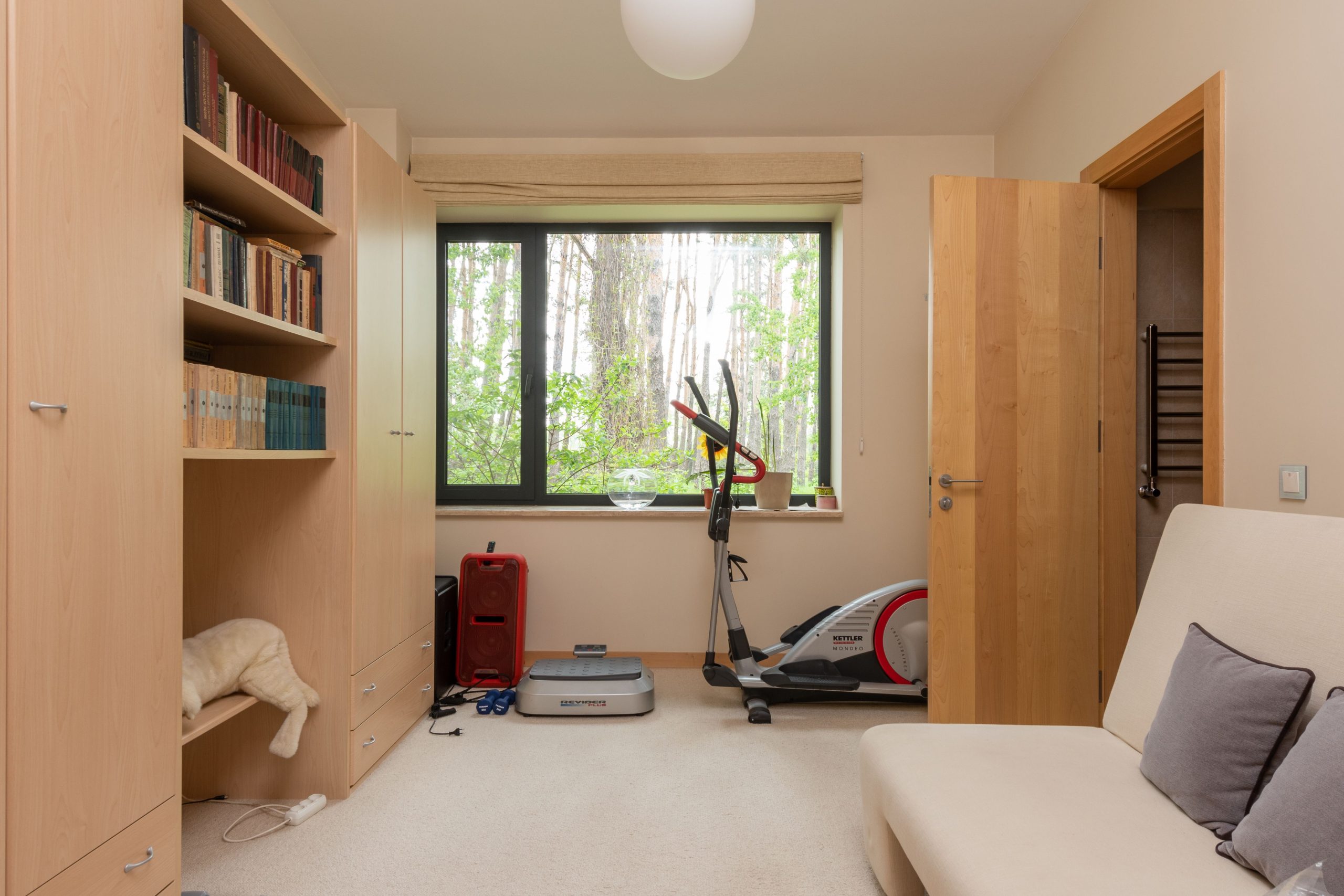 Contemporary apartment with many books and exercycle near wooden door and window in daytime